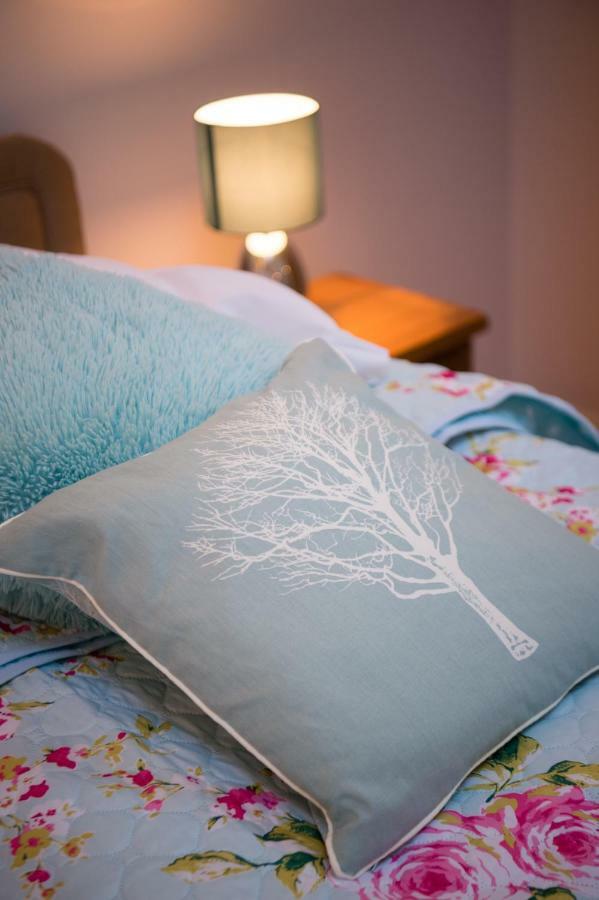 Bed and Breakfast Y Grange Llanfihangel-y-Creuddyn Экстерьер фото